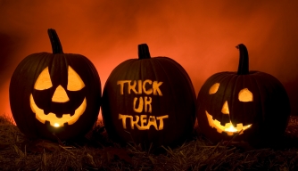 Halloween carved pumpkins
