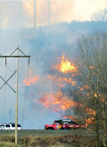 Brush fire